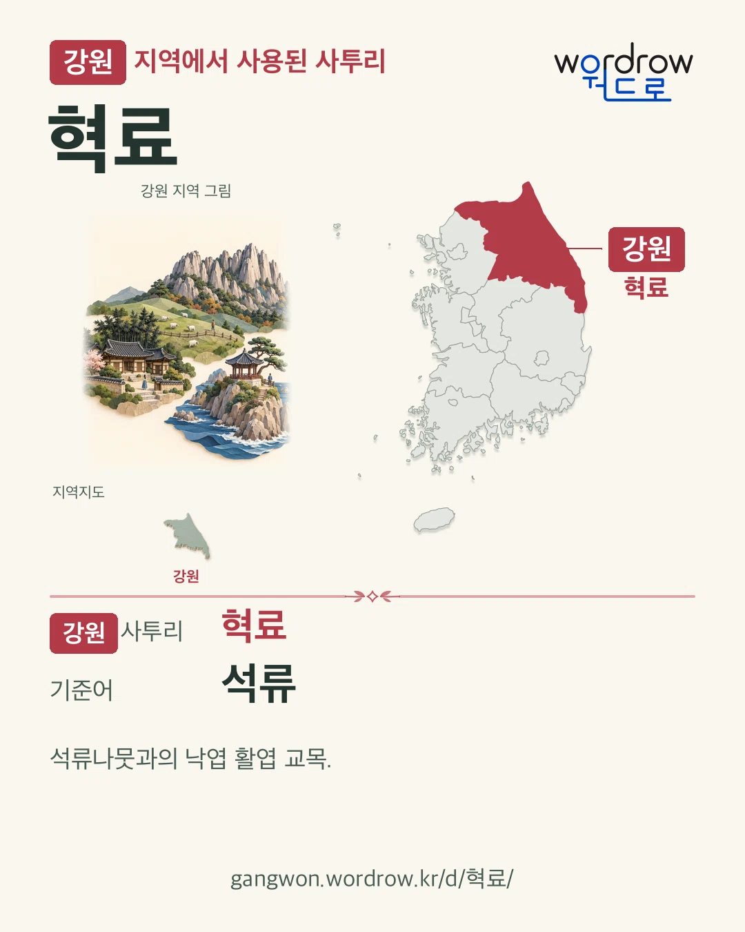강원 지역에서 사용된 사투리 ‘혁료’. 기준어: 석류. 기록 지역을 표시한 지역 그림과 지도 카드.