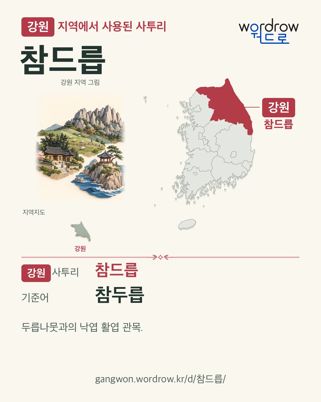 강원 지역에서 사용된 사투리 ‘참드릅’. 기준어: 참두릅. 기록 지역을 표시한 지역 그림과 지도 카드.