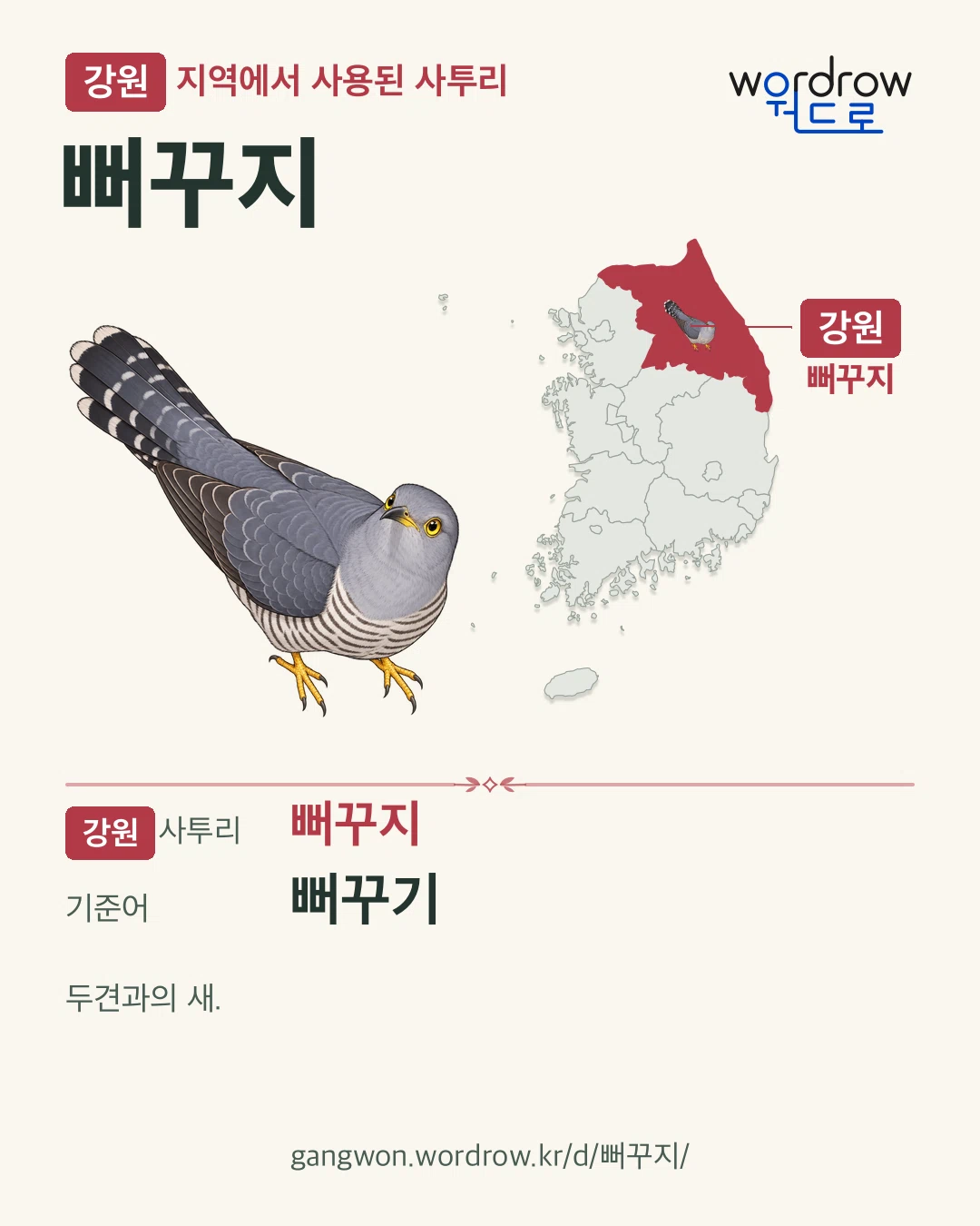 강원 지역에서 사용된 사투리 ‘뻐꾸지’. 기준어: 뻐꾸기. 기록 지역을 표시한 카툰 삽화와 지도 카드.
