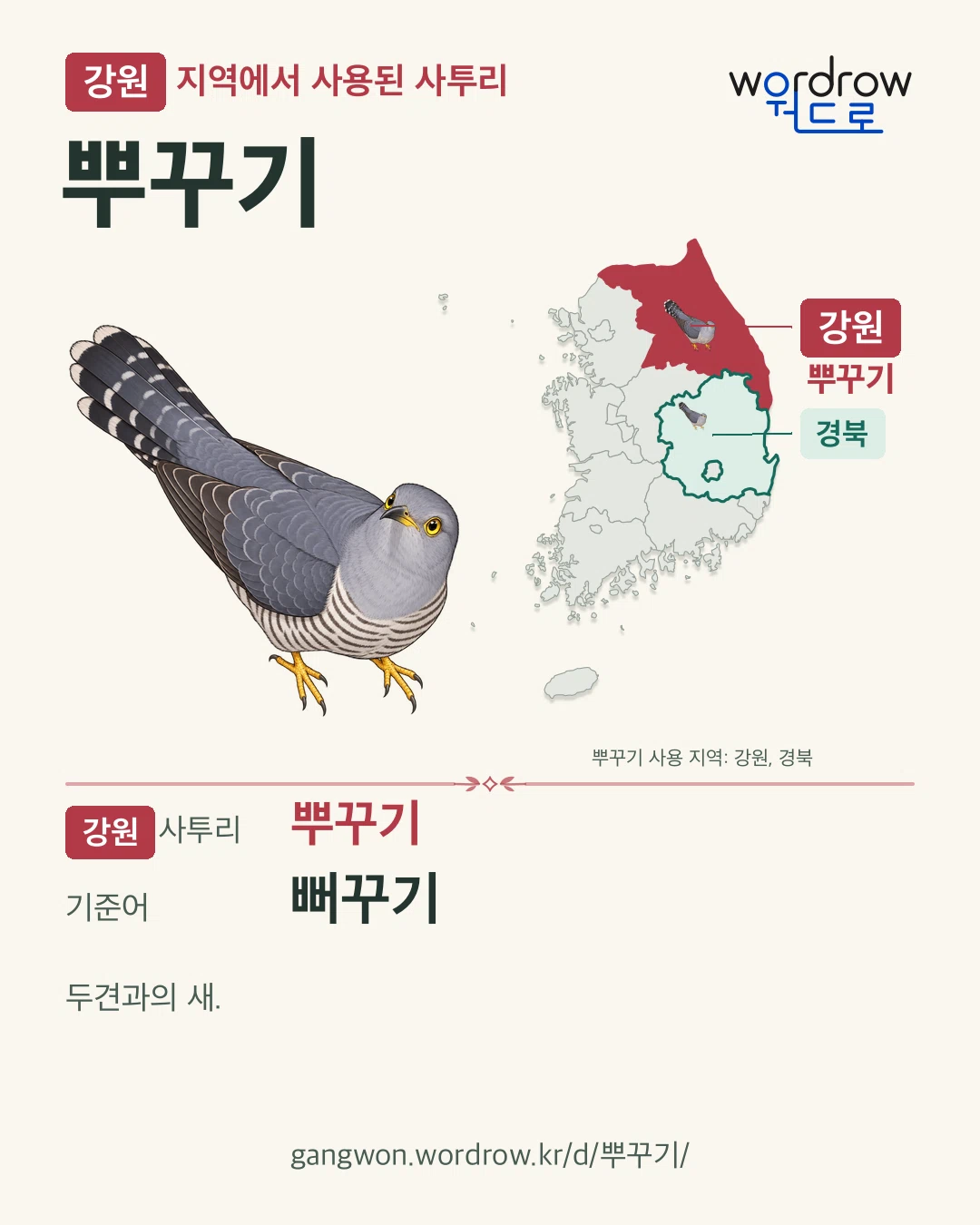 강원 지역에서 사용된 사투리 ‘뿌꾸기’. 기준어: 뻐꾸기. 기록 지역을 표시한 카툰 삽화와 지도 카드.