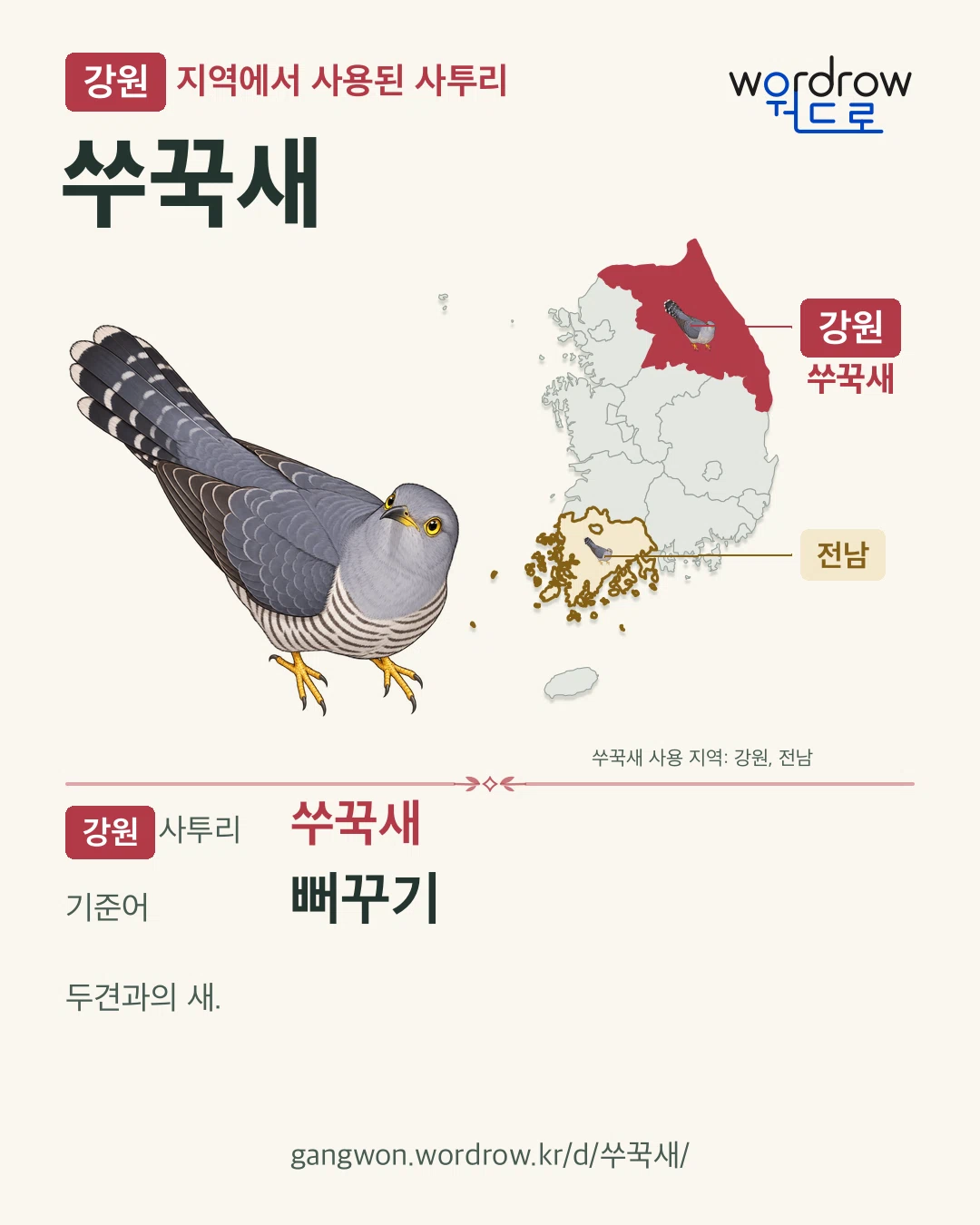 강원 지역에서 사용된 사투리 ‘쑤꾹새’. 기준어: 뻐꾸기. 기록 지역을 표시한 카툰 삽화와 지도 카드.
