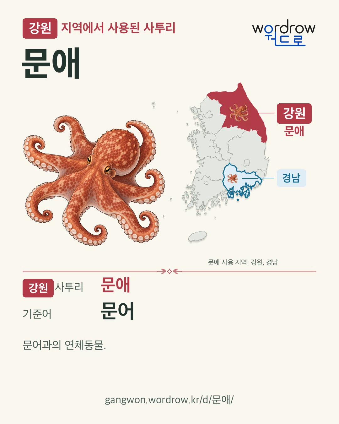 강원 지역에서 사용된 사투리 ‘문애’. 기준어: 문어. 기록 지역을 표시한 카툰 삽화와 지도 카드.