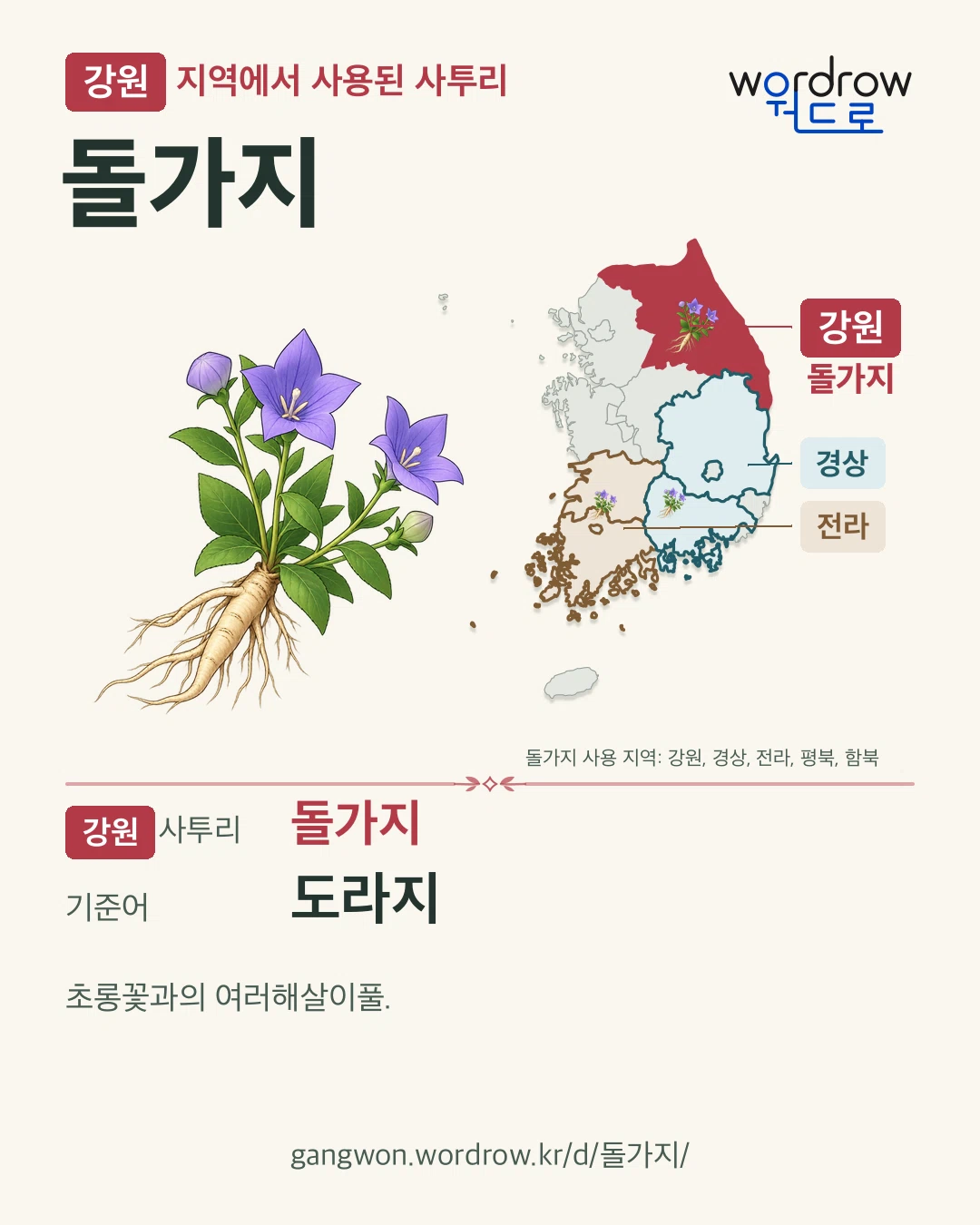 강원 지역에서 사용된 사투리 ‘돌가지’. 기준어: 도라지. 기록 지역을 표시한 카툰 삽화와 지도 카드.