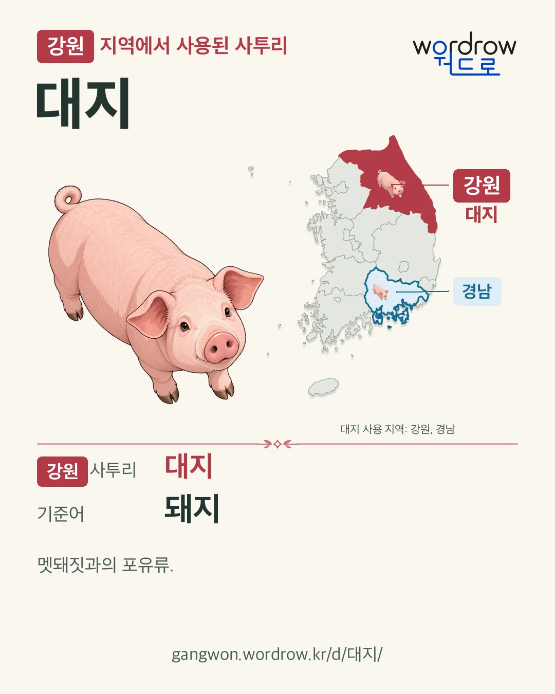 강원 지역에서 사용된 사투리 ‘대지’. 기준어: 돼지. 기록 지역을 표시한 카툰 삽화와 지도 카드.