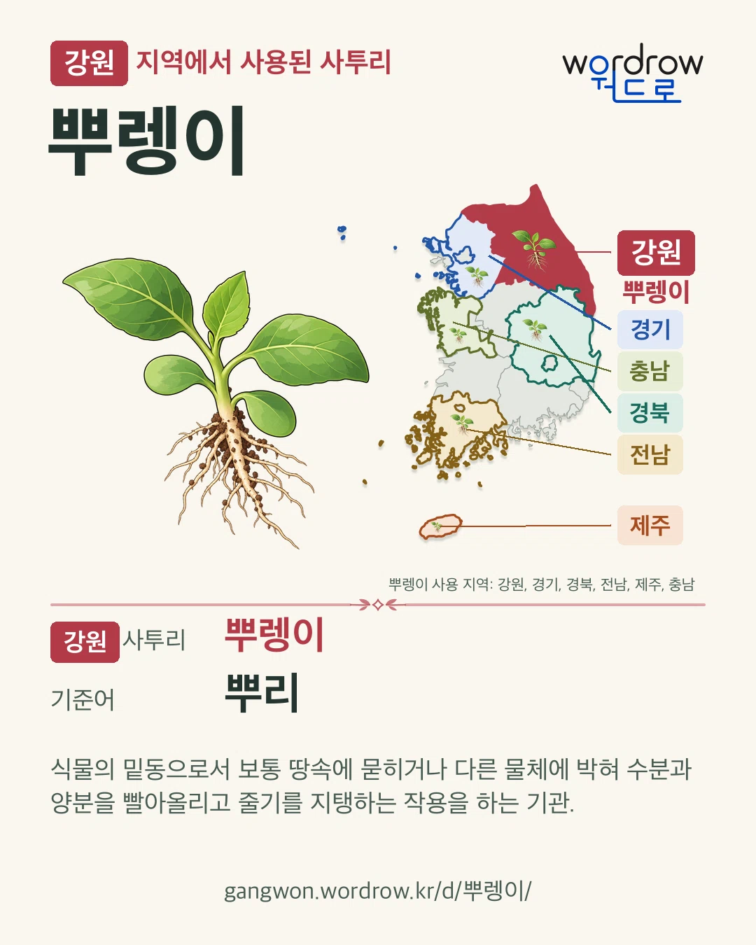 강원 지역에서 사용된 사투리 ‘뿌렝이’. 기준어: 뿌리. 기록 지역을 표시한 카툰 삽화와 지도 카드.