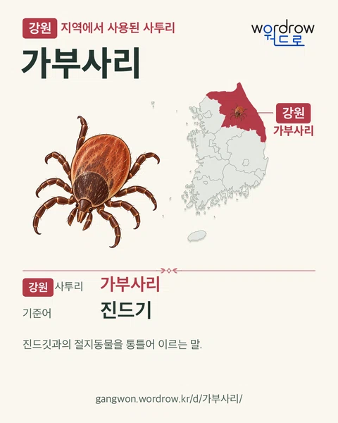 강원 지역에서 사용된 사투리 ‘가부사리’. 기준어: 진드기. 기록 지역을 표시한 카툰 삽화와 지도 카드.