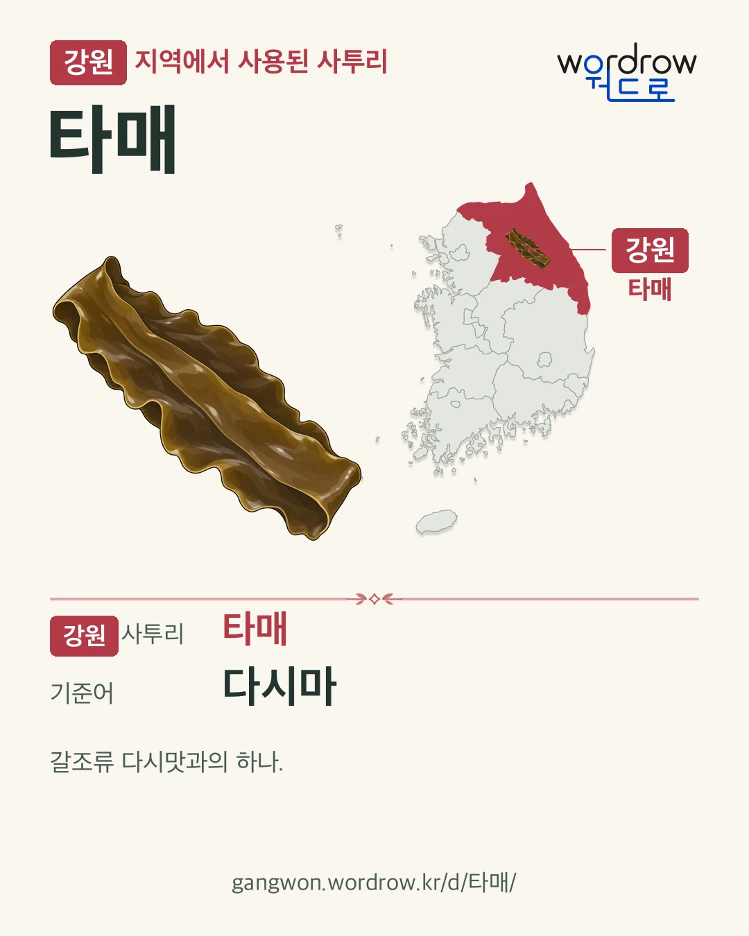 강원 지역에서 사용된 사투리 ‘타매’. 기준어: 다시마. 기록 지역을 표시한 카툰 삽화와 지도 카드.