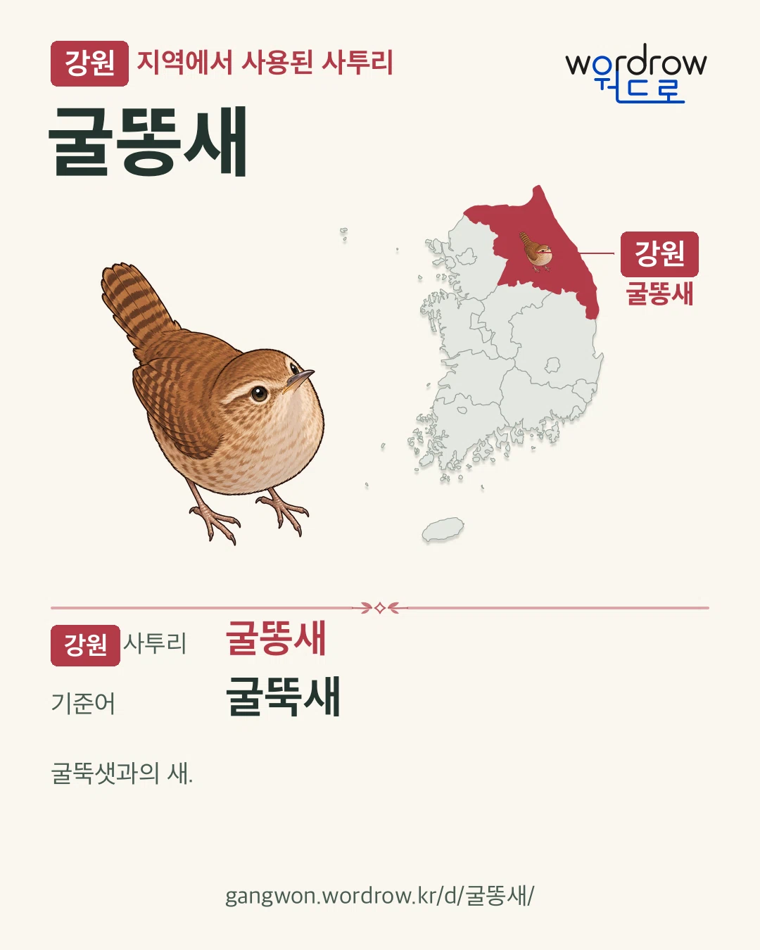 강원 지역에서 사용된 사투리 ‘굴똥새’. 기준어: 굴뚝새. 기록 지역을 표시한 카툰 삽화와 지도 카드.