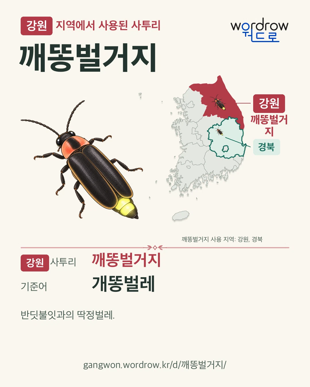 강원 지역에서 사용된 사투리 ‘깨똥벌거지’. 기준어: 개똥벌레. 기록 지역을 표시한 카툰 삽화와 지도 카드.