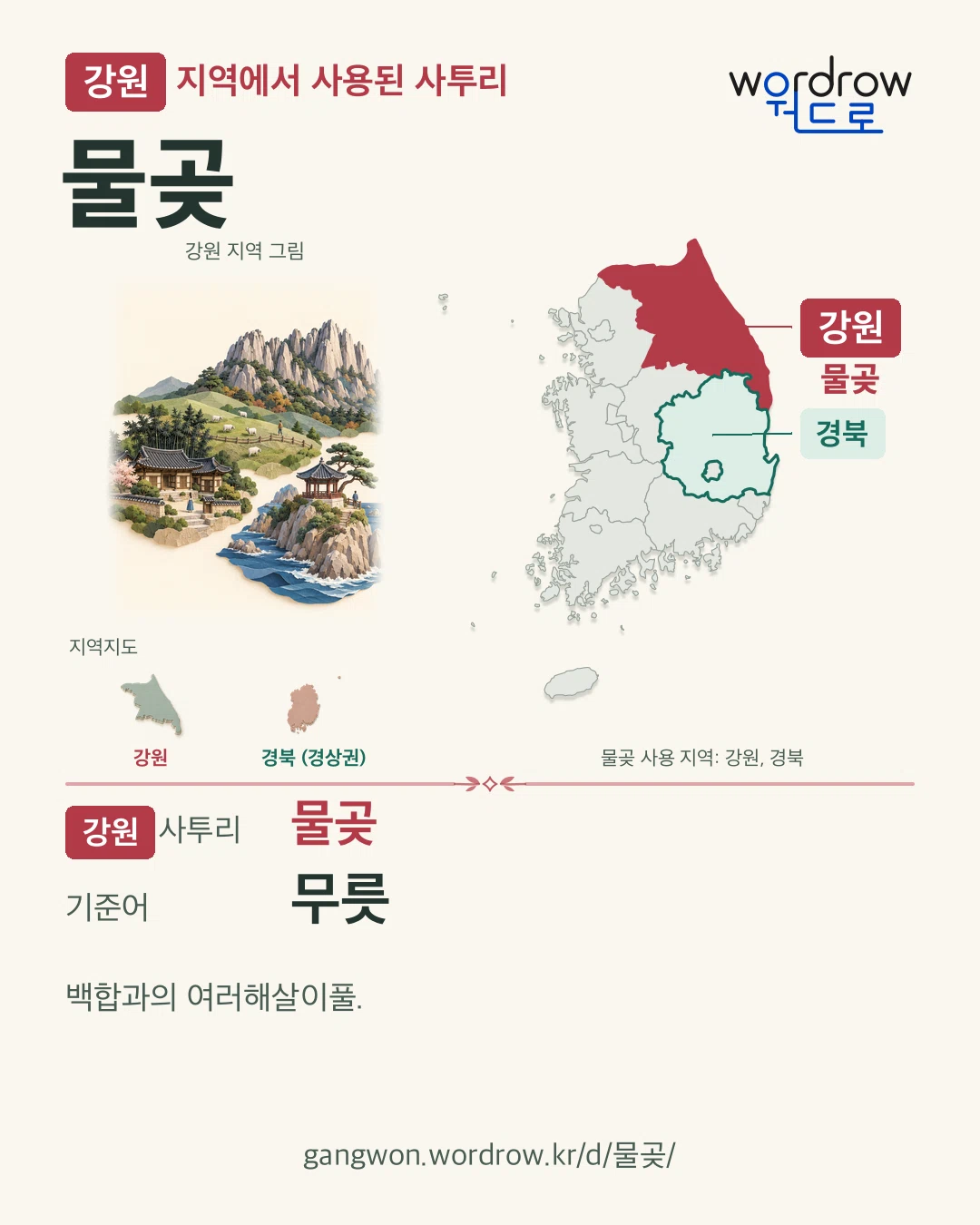 강원 지역에서 사용된 사투리 ‘물곶’. 기준어: 무릇. 기록 지역을 표시한 지역 그림과 지도 카드.