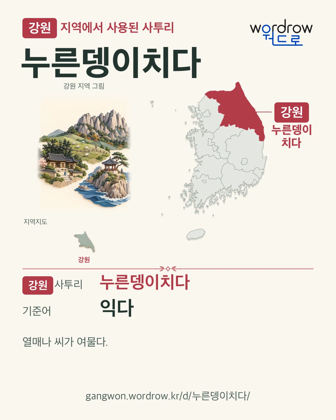 강원 지역에서 사용된 사투리 ‘누른뎅이치다’. 기준어: 익다. 기록 지역을 표시한 지역 그림과 지도 카드.