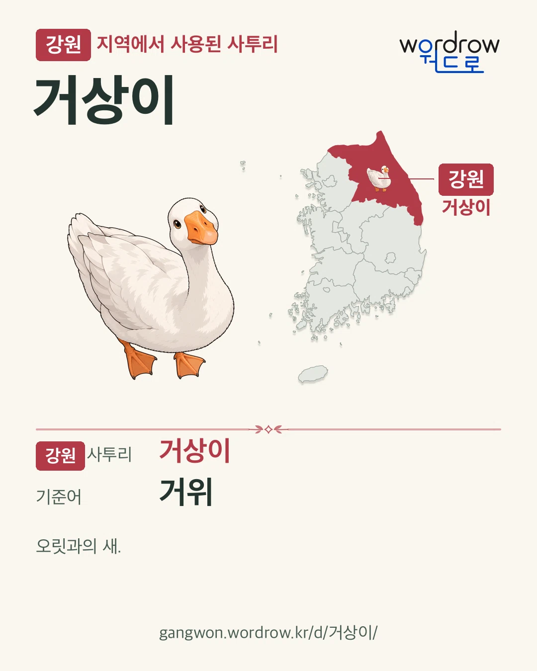 강원 지역에서 사용된 사투리 ‘거상이’. 기준어: 거위. 기록 지역을 표시한 카툰 삽화와 지도 카드.