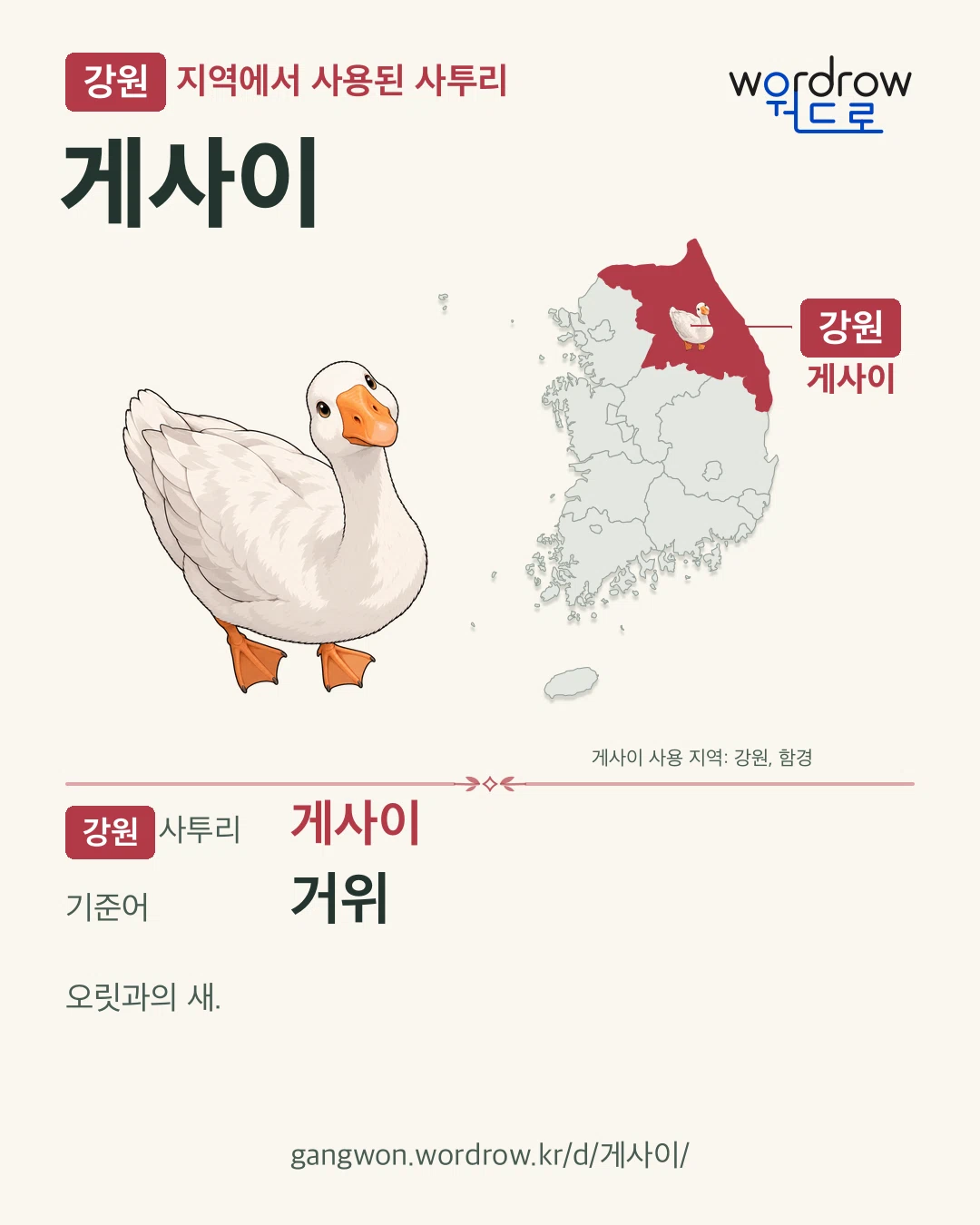강원 지역에서 사용된 사투리 ‘게사이’. 기준어: 거위. 기록 지역을 표시한 카툰 삽화와 지도 카드.