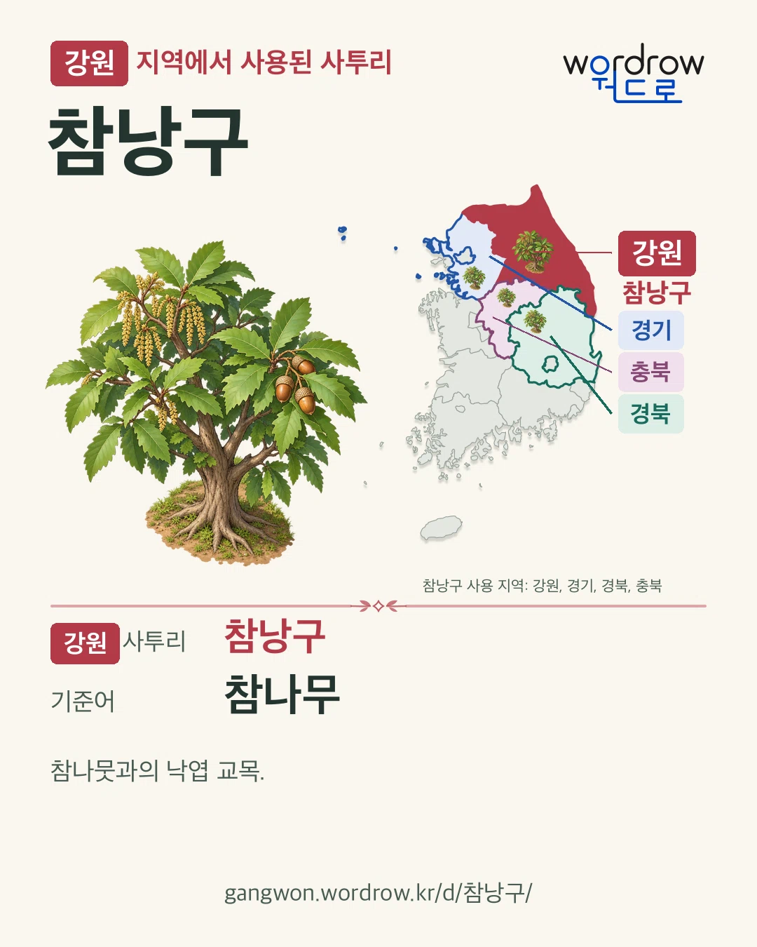 강원 지역에서 사용된 사투리 ‘참낭구’. 기준어: 참나무. 기록 지역을 표시한 카툰 삽화와 지도 카드.