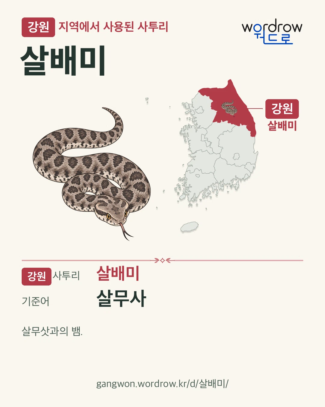 강원 지역에서 사용된 사투리 ‘살배미’. 기준어: 살무사. 기록 지역을 표시한 카툰 삽화와 지도 카드.