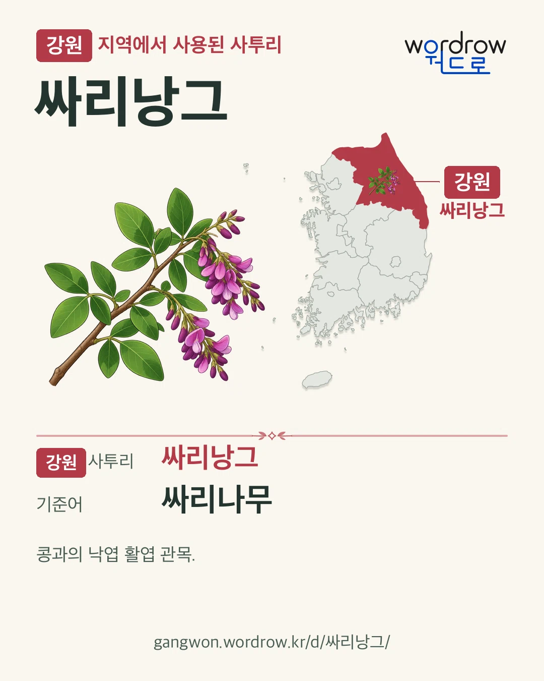 강원 지역에서 사용된 사투리 ‘싸리낭그’. 기준어: 싸리나무. 기록 지역을 표시한 카툰 삽화와 지도 카드.