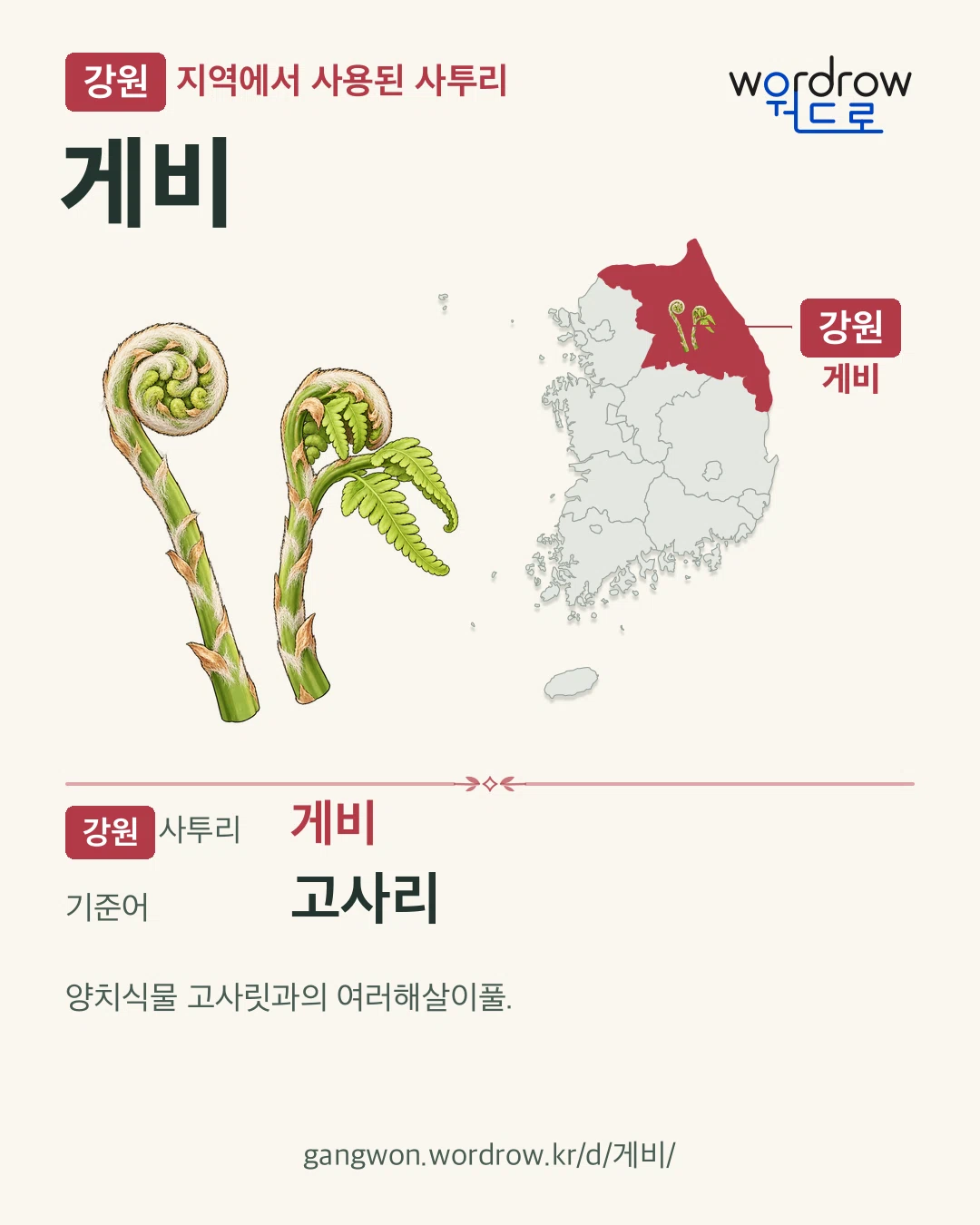 강원 지역에서 사용된 사투리 ‘게비’. 기준어: 고사리. 기록 지역을 표시한 카툰 삽화와 지도 카드.
