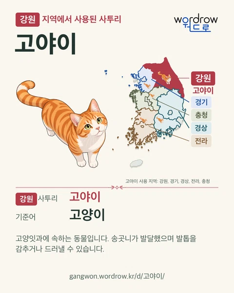 강원 지역에서 사용된 사투리 ‘고야이’. 기준어: 고양이. 기록 지역을 표시한 카툰 삽화와 지도 카드.